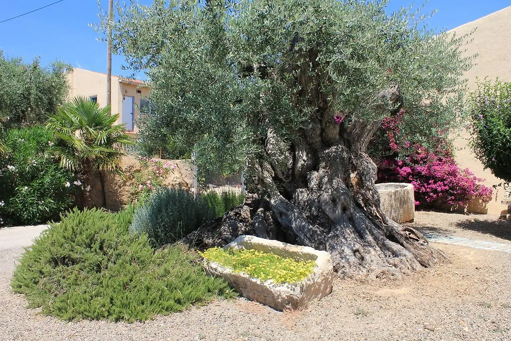 Vila Mas Teodoro Les Borges del Camp